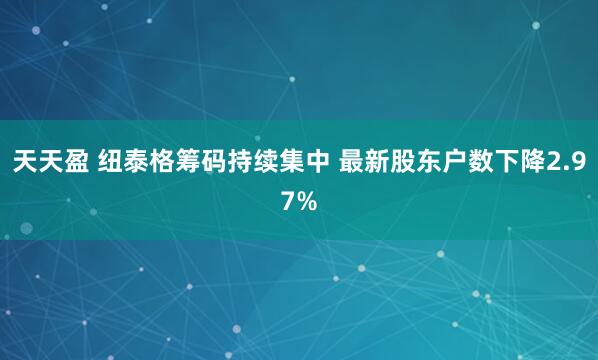 天天盈 纽泰格筹码持续集中 最新股东户数下降2.97%