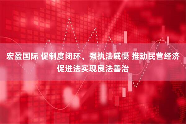 宏盈国际 促制度闭环、强执法威慑 推动民营经济促进法实现良法善治