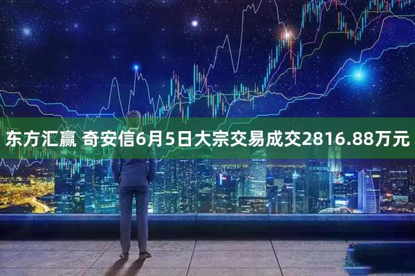 东方汇赢 奇安信6月5日大宗交易成交2816.88万元