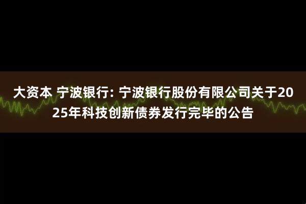 大资本 宁波银行: 宁波银行股份有限公司关于2025年科技创新债券发行完毕的公告