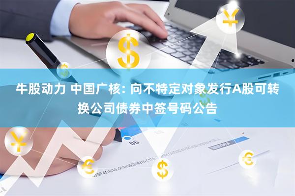 牛股动力 中国广核: 向不特定对象发行A股可转换公司债券中签号码公告