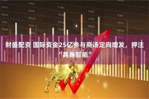 财盛配资 国际资金25亿参与商汤定向增发，押注“具身智能”