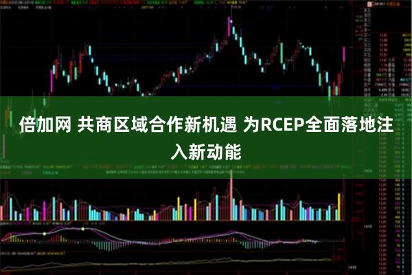倍加网 共商区域合作新机遇 为RCEP全面落地注入新动能